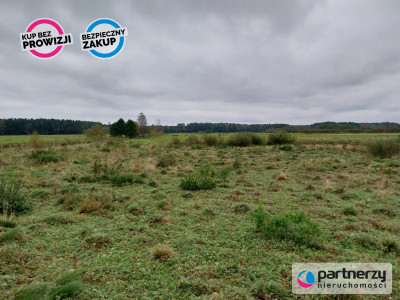 Działka ze stawami otoczona lasem - Stara Huta  -
Kujawsko-Pomorskie Zdjęcie nr 4