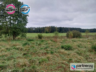 Działka ze stawami otoczona lasem - Stara Huta  -
Kujawsko-Pomorskie Zdjęcie nr 5