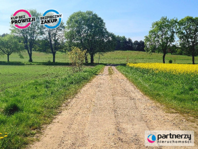 2 ha w  Mierzynie - Mierzyno  -
Pomorskie Zdjęcie nr 3