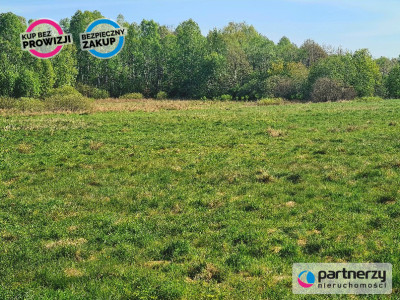 2 ha w  Mierzynie - Mierzyno  -
Pomorskie Zdjęcie nr 5