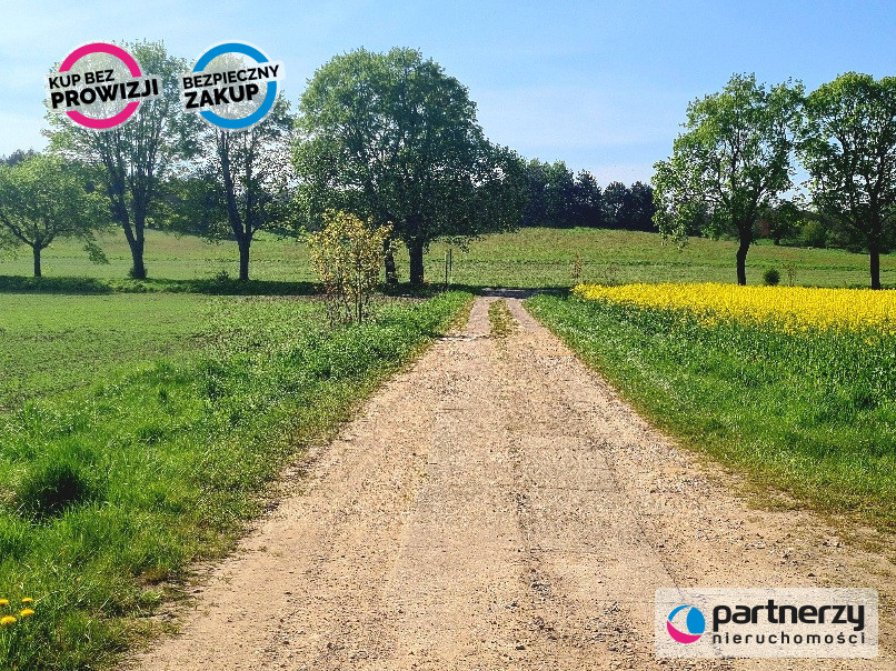 Dzałki w Mierzynie - Mierzyno  -
Pomorskie Zdjęcie nr 1