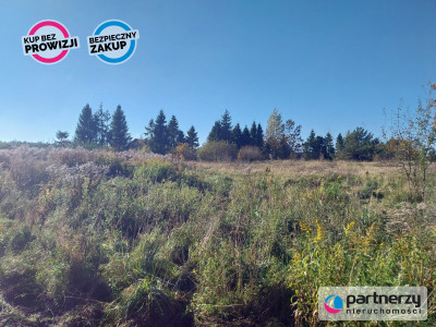 Działka 15ha pod zabudowę jednorodzinną - Pomlewo - Pomlewo  -
Pomorskie Zdjęcie nr 4