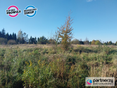 Działka 15ha pod zabudowę jednorodzinną - Pomlewo - Pomlewo  -
Pomorskie Zdjęcie nr 5