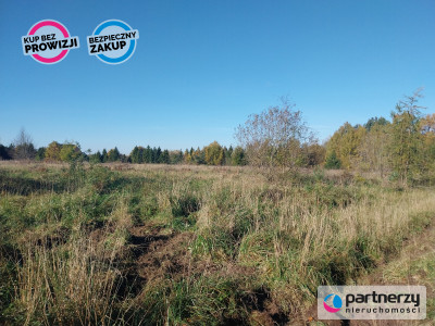 Działka 15ha pod zabudowę jednorodzinną - Pomlewo - Pomlewo  -
Pomorskie Zdjęcie nr 6