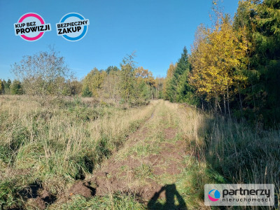 Działka 15ha pod zabudowę jednorodzinną - Pomlewo - Pomlewo  -
Pomorskie Zdjęcie nr 7