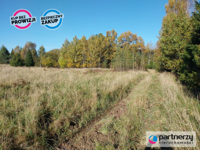 Działka 15ha pod zabudowę jednorodzinną - Pomlewo - Pomlewo  -
Pomorskie Zdjęcie nr 9