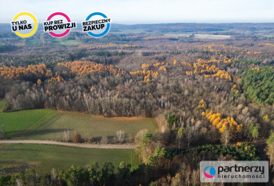 Działka Warcz powiat gdański 11 070 m - Warcz  -
Pomorskie Zdjęcie nr 6