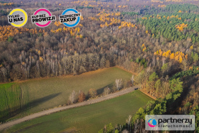 Działka Warcz powiat gdański 11 070 m - Warcz  -
Pomorskie Zdjęcie nr 7