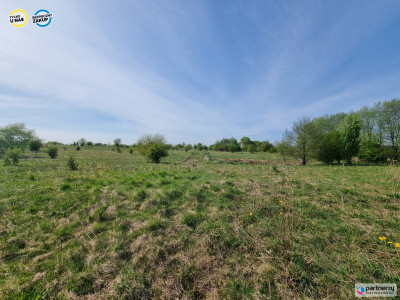Działka nad jeziorem Salińskim - Salinko  -
Pomorskie Zdjęcie nr 9
