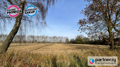 Działka pod twój wymarzony dom - Stobiec  -
Pomorskie Zdjęcie nr 4