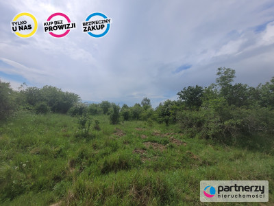 Działka na wzgórzu - Lublewo Gdańskie - Lublewo Gdańskie  -
Pomorskie Zdjęcie nr 2