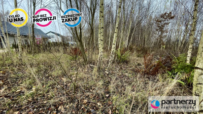 Ustawna działka pod twój dom i działalność - Bąkowo  -
Pomorskie Zdjęcie nr 6