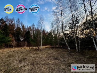 Piękna działka pod lasem 2257 m2 z wydaną WZKą - Tuchom  -
Pomorskie Zdjęcie nr 14