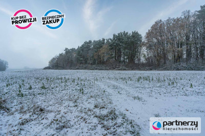 Duża działka pod korzystną inwestycję - Mieroszyno  -
Pomorskie Zdjęcie nr 2