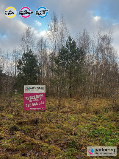Działka blisko lasu niedaleko szkoła - Czerniewo  -
Pomorskie Zdjęcie nr 8