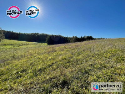 344 ha siedlisko jezioro - Bukowina  -
Pomorskie Zdjęcie nr 4