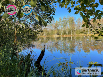 344 ha siedlisko jezioro - Bukowina  -
Pomorskie Zdjęcie nr 5