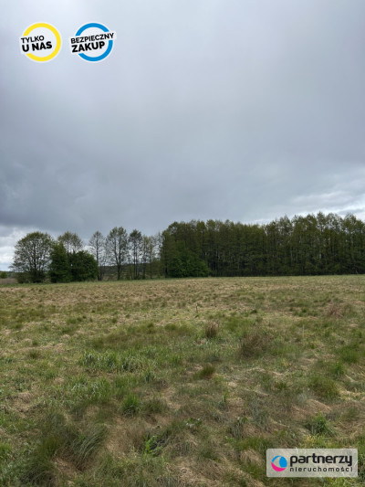 Działki w malowniczej lokalizacji Bory Tucholskie - Konarzyny  -
Pomorskie Zdjęcie nr 2