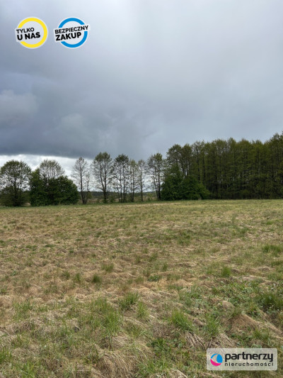 Działki w malowniczej lokalizacji Bory Tucholskie - Konarzyny  -
Pomorskie Zdjęcie nr 3