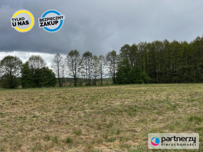 Działki w malowniczej lokalizacji Bory Tucholskie - Konarzyny  -
Pomorskie Zdjęcie nr 2