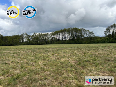 Działki w malowniczej lokalizacji Bory Tucholskie - Konarzyny  -
Pomorskie Zdjęcie nr 5