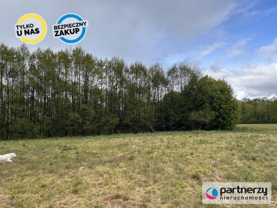 Działki w malowniczej lokalizacji Bory Tucholskie - Konarzyny  -
Pomorskie Zdjęcie nr 4