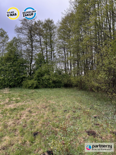 Działki w malowniczej lokalizacji Bory Tucholskie - Konarzyny  -
Pomorskie Zdjęcie nr 7