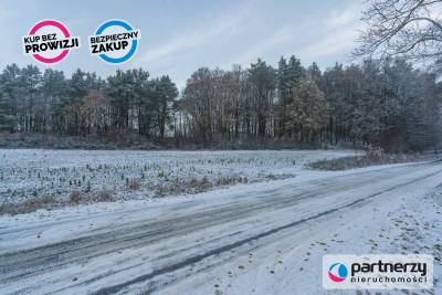 Duża działka pod korzystną inwestycję - Mierzyno  -
Pomorskie Zdjęcie nr 3