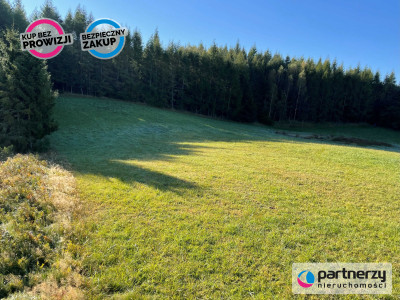 344 ha siedlisko jezioro - Bukowina  -
Pomorskie Zdjęcie nr 2