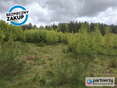 Pięknie położona urokliwa działka przy lesie - Strzebielino  -
Pomorskie Zdjęcie nr 10