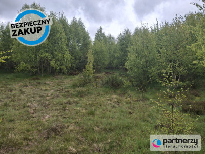 Pięknie położona urokliwa działka przy lesie - Strzebielino  -
Pomorskie Zdjęcie nr 12