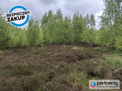 Pięknie położona urokliwa działka przy lesie - Strzebielino  - Pomorskie