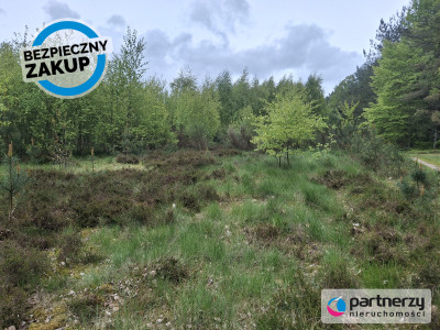 Pięknie położona urokliwa działka przy lesie - Strzebielino  -
Pomorskie Zdjęcie nr 2