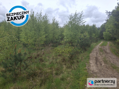 Pięknie położona urokliwa działka przy lesie - Strzebielino  -
Pomorskie Zdjęcie nr 4