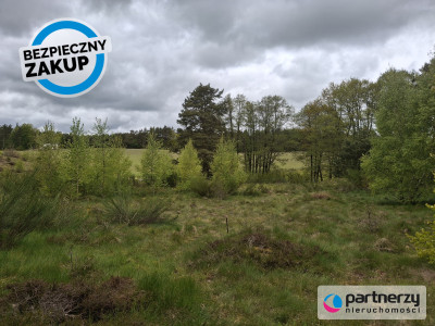 Pięknie położona urokliwa działka przy lesie - Strzebielino  -
Pomorskie Zdjęcie nr 8