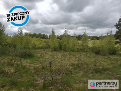 Pięknie położona urokliwa działka przy lesie - Strzebielino  -
Pomorskie Zdjęcie nr 9