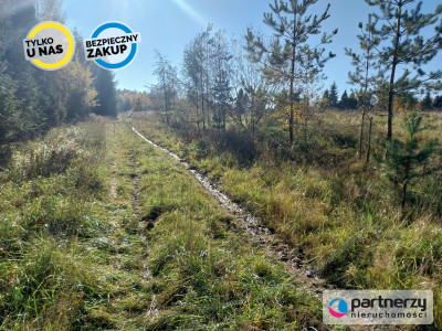 Działka 15ha pod zabudowę jednorodzinną - Pomlewo - Pomlewo  -
Pomorskie Zdjęcie nr 10