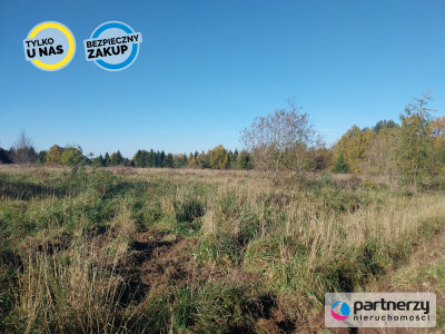 Działka 15ha pod zabudowę jednorodzinną - Pomlewo - Pomlewo  -
Pomorskie Zdjęcie nr 6