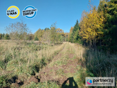 Działka 15ha pod zabudowę jednorodzinną - Pomlewo - Pomlewo  -
Pomorskie Zdjęcie nr 7