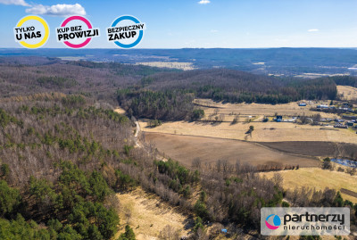 Działki z WZ 16 ha Świetlino k Łęczyc przy S6 - Świetlino  -
Pomorskie Zdjęcie nr 8