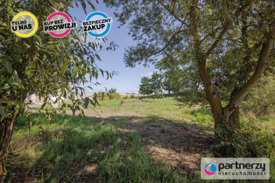 Działka w cichym i urokliwym miejscu Arciszewa - Arciszewo  -
Pomorskie Zdjęcie nr 6