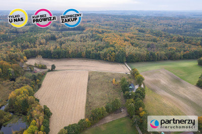 DZIAŁKI W OKOLICY BYTOWA - Grzmiąca  -
Pomorskie Zdjęcie nr 9