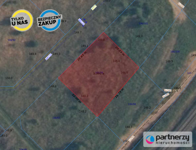 PEŁNE UZBROJENIE  JEZIORO  LAS  TANIO - Borkowo  -
Pomorskie Zdjęcie nr 2