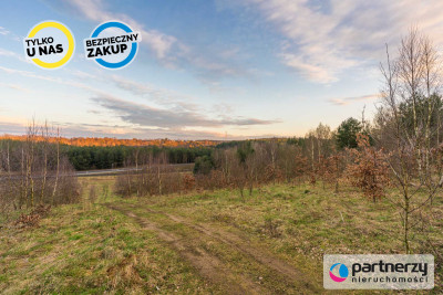 POD LASEM  PROSTOKĄTNA  TANIO - Borkowo  -
Pomorskie Zdjęcie nr 6