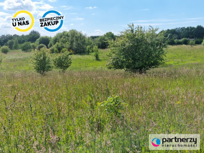 Działka nad jeziorem Salińskim - Salinko  -
Pomorskie Zdjęcie nr 4