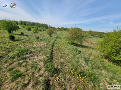 Działka nad jeziorem Salińskim - Salinko  -
Pomorskie Zdjęcie nr 9