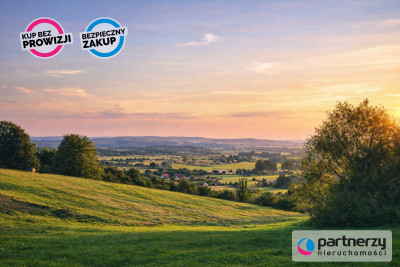 Malowniczo położna działka w Wicku - Wicko  -
Pomorskie Zdjęcie nr 4