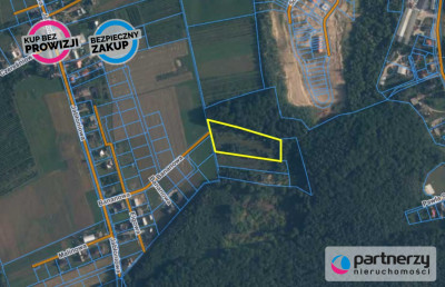 Działka pod lasem 15km od Gdańska - powiat gdański  -
Pomorskie