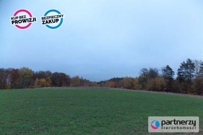 Działka pod lasem 15km od Gdańska - powiat gdański  -
Pomorskie Zdjęcie nr 2