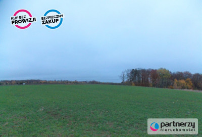 Działka pod lasem 15km od Gdańska - powiat gdański  -
Pomorskie Zdjęcie nr 4